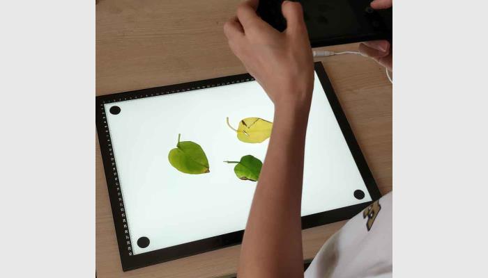 LA-M增強(qiáng)版手機(jī)版葉面積分析儀系統(tǒng)，葉面積儀，葉面積測(cè)量?jī)x，葉面積測(cè)定儀，便攜式葉面積儀,活體葉面積測(cè)量?jī)x。用于快速便捷地在野外分析測(cè)量原位的植物葉面積等。